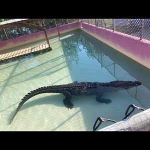 Meet your Posher, Clarissa